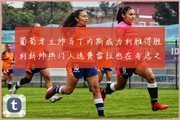 葡萄牙主帅马丁内斯成为利雅得胜利新帅热门人选费雷拉也在考虑之中